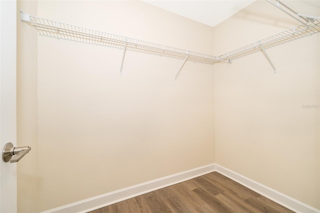 walk in closet with dark wood-style flooring