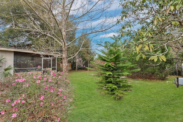 view of yard featuring a sunroom