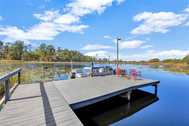 dock area featuring a water view