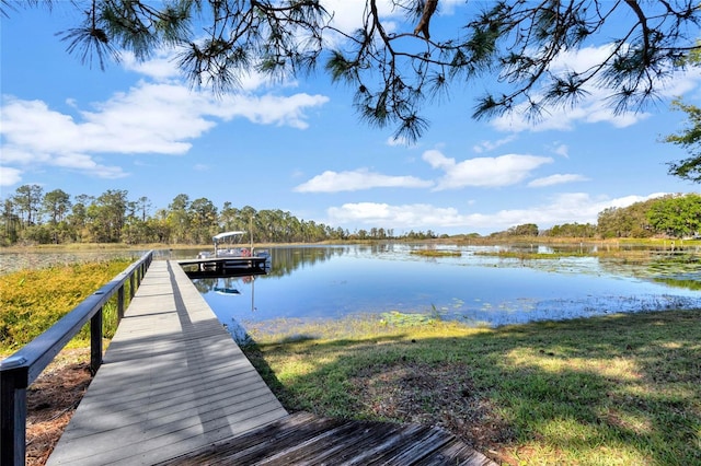 dock area featuring a water view