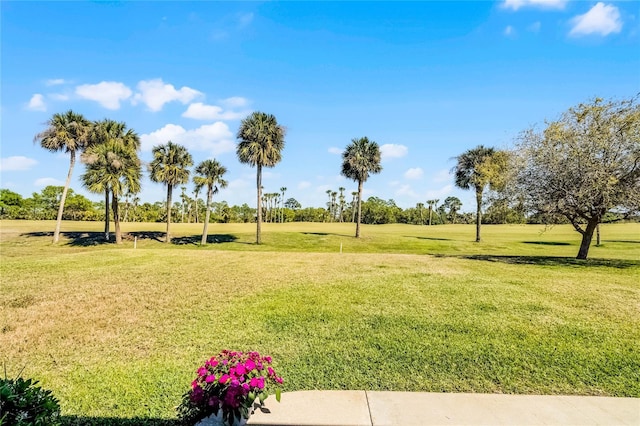 view of property's community with a lawn