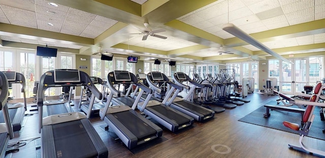 exercise room featuring a ceiling fan, wood finished floors, french doors, and a healthy amount of sunlight