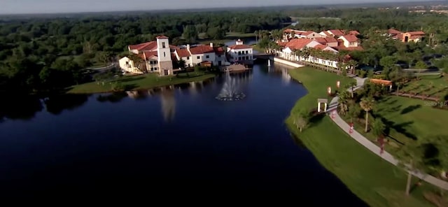 bird's eye view with a wooded view and a water view