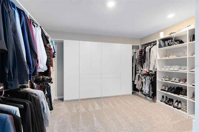 spacious closet featuring carpet