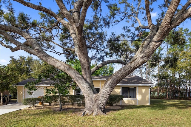 single story home with stucco siding, an attached garage, driveway, and a front lawn