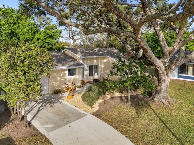 ranch-style home featuring a front yard, roof with shingles, and driveway