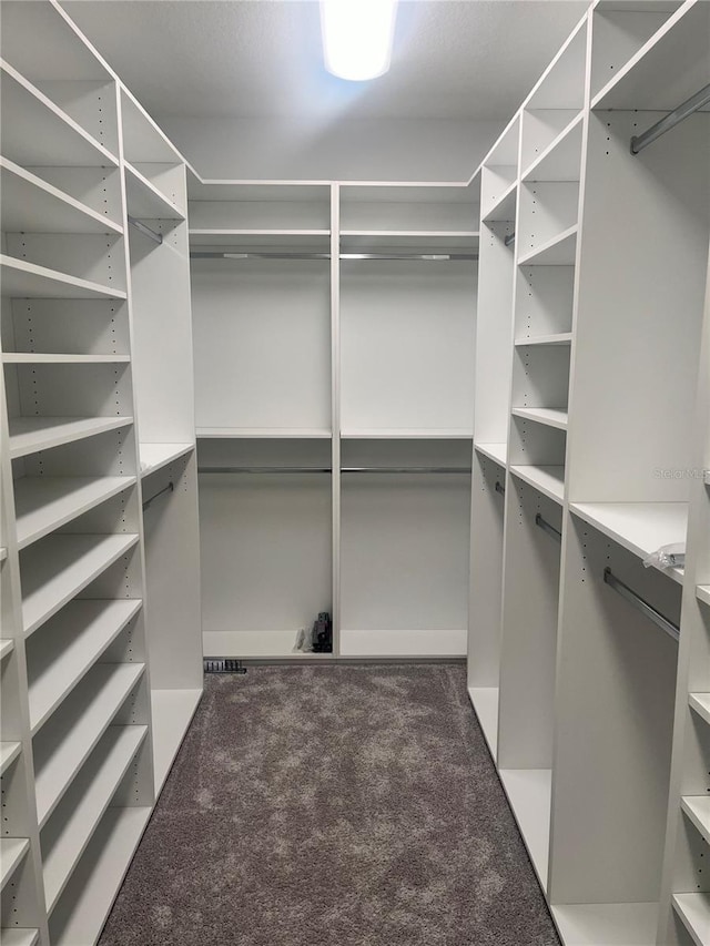 8025 Topsail Pl, Winter Garden, FL 34787 - walk in closet with carpet floors