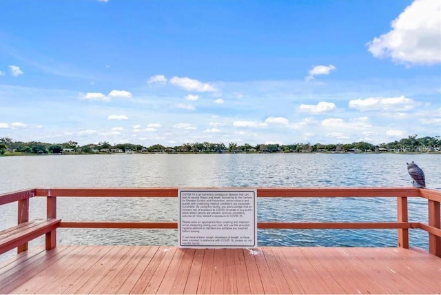 dock area with a water view