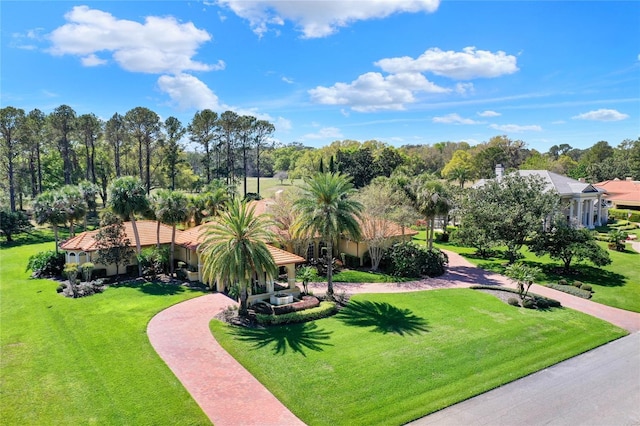 view of property's community with a yard