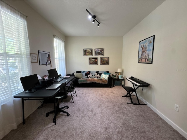 5771 Mangrove Cove Ave, Winter Garden, FL 34787 - photo 12