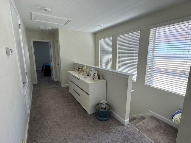 5771 Mangrove Cove Ave, Winter Garden, FL 34787 - photo 26