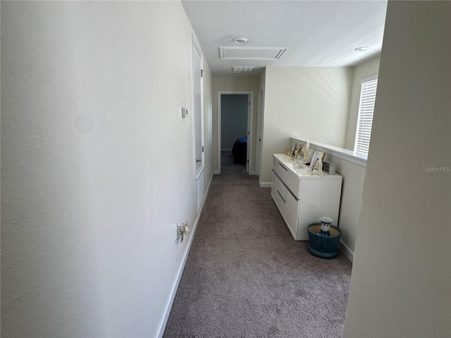 5771 Mangrove Cove Ave, Winter Garden, FL 34787 - photo 27