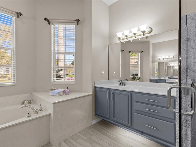 bathroom featuring a bath and vanity