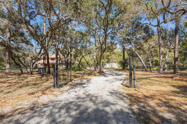 view of road featuring a gate, driveway, and a gated entry