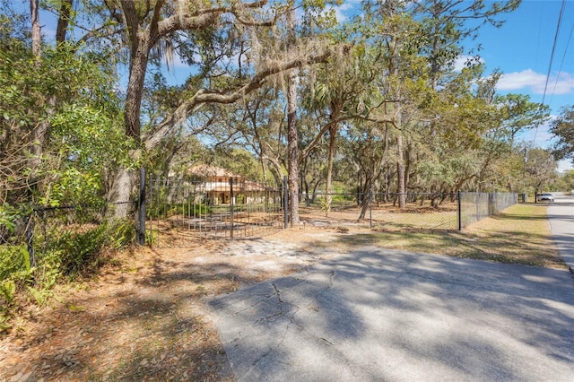 view of yard with fence and a gate