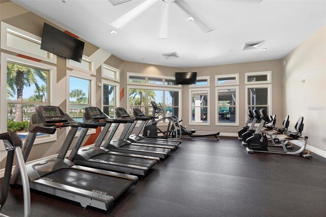 workout area featuring plenty of natural light, baseboards, and visible vents