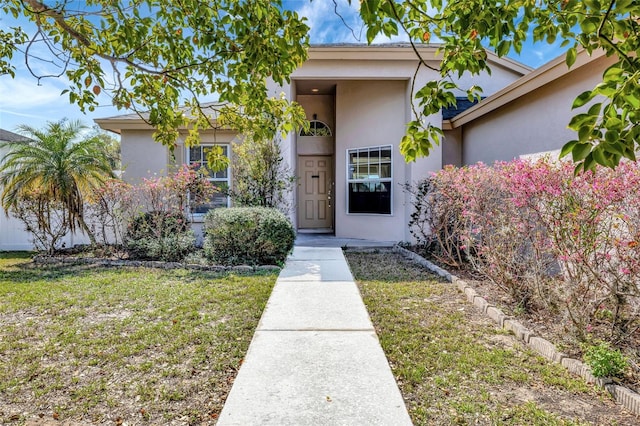 entrance to property featuring a yard and stucco siding