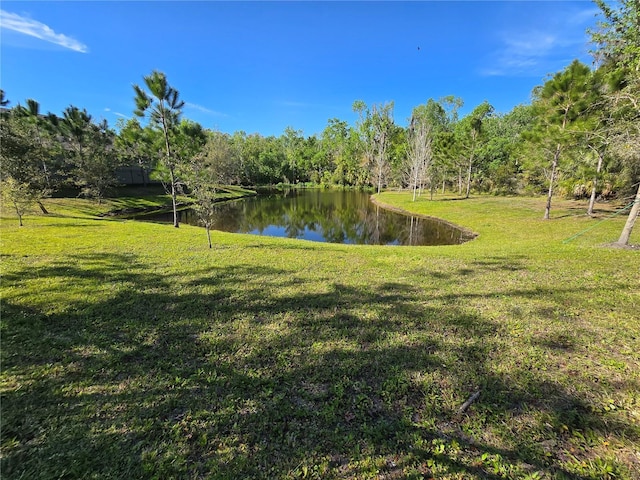 view of yard featuring a forest view and a water view