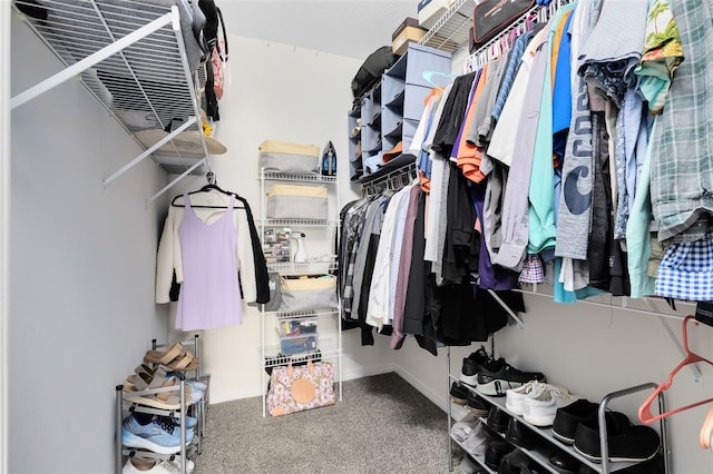 spacious closet with carpet