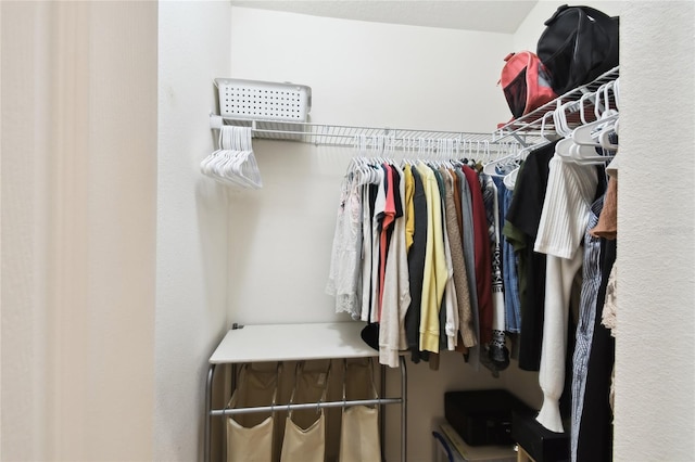 view of spacious closet