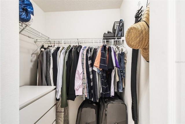 view of spacious closet