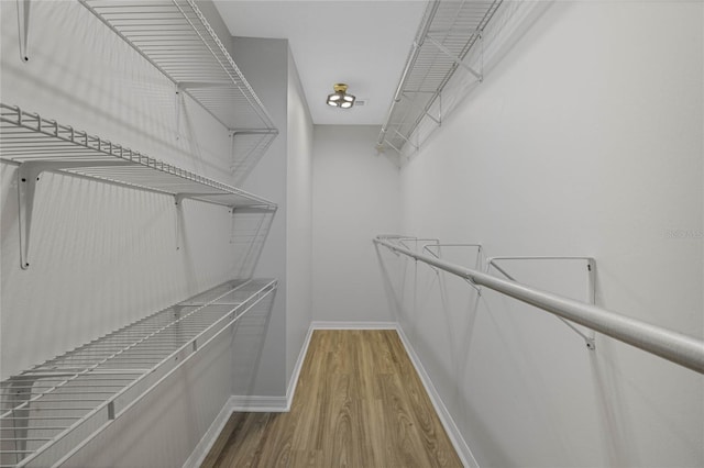 walk in closet featuring wood finished floors