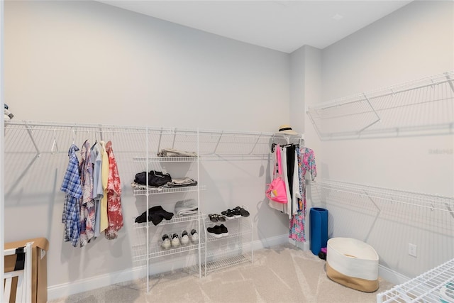 spacious closet with carpet flooring