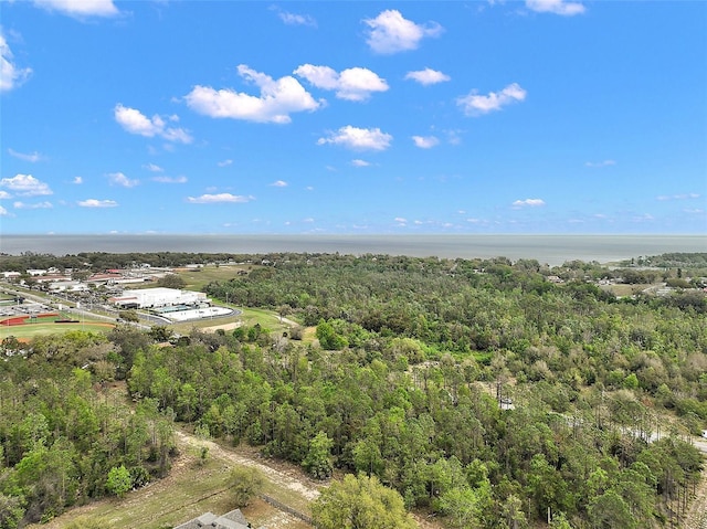 TBD 8th St, Montverde, FL 34756 - photo 8