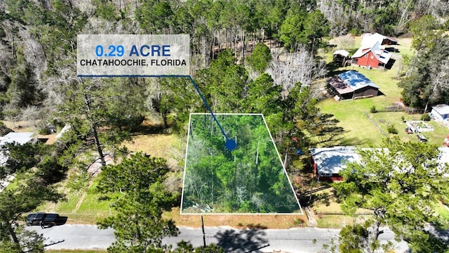 1110 Lorraine Ave, Chattahoochee FL, 32324 land for sale