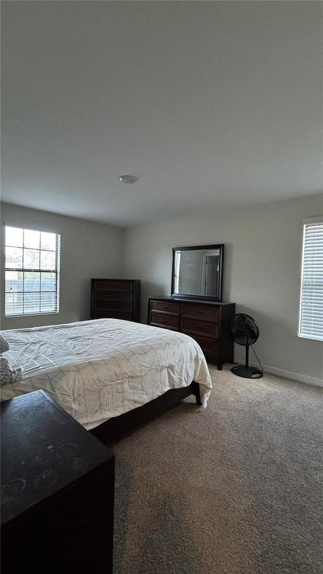 bedroom featuring carpet flooring, multiple windows, and baseboards