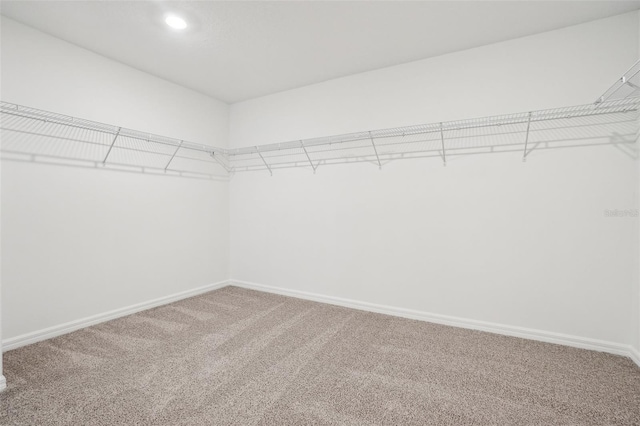 walk in closet with carpet
