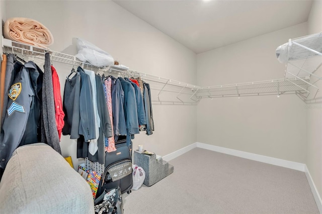 walk in closet featuring carpet