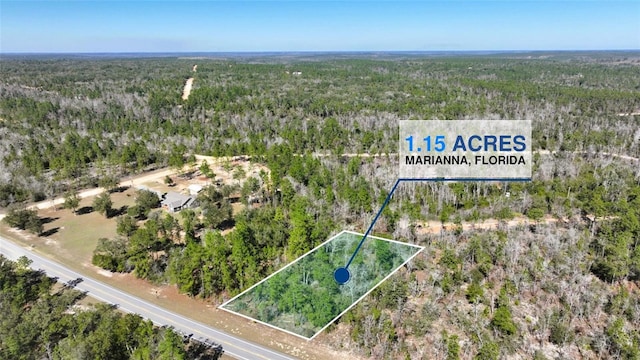 Nortek Blvd, Marianna FL, 32448 land for sale