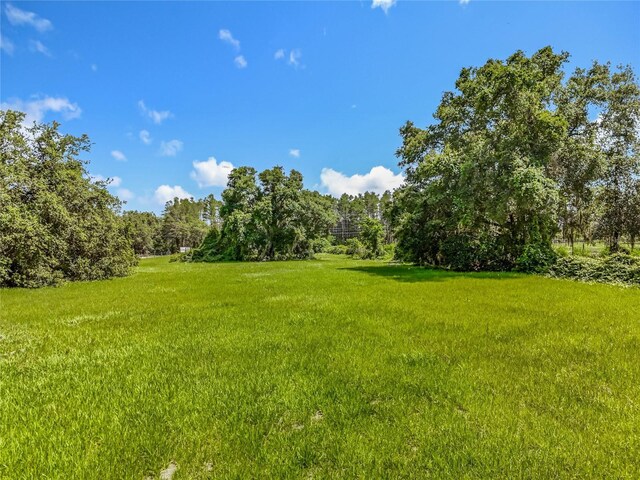41204 Emeralda Island Rd, Leesburg, FL 34788 - photo 40