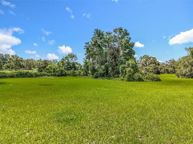 41204 Emeralda Island Rd, Leesburg, FL 34788 - photo 31