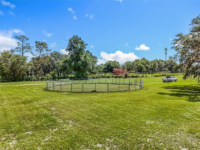41204 Emeralda Island Rd, Leesburg, FL 34788 - photo 42