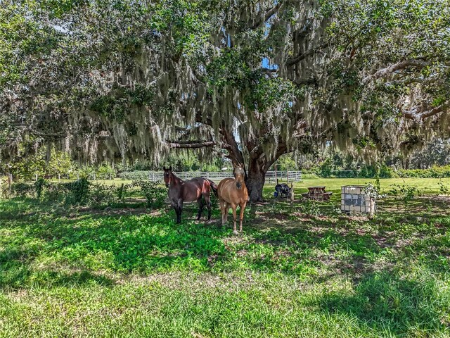 41204 Emeralda Island Rd, Leesburg, FL 34788 - photo 34