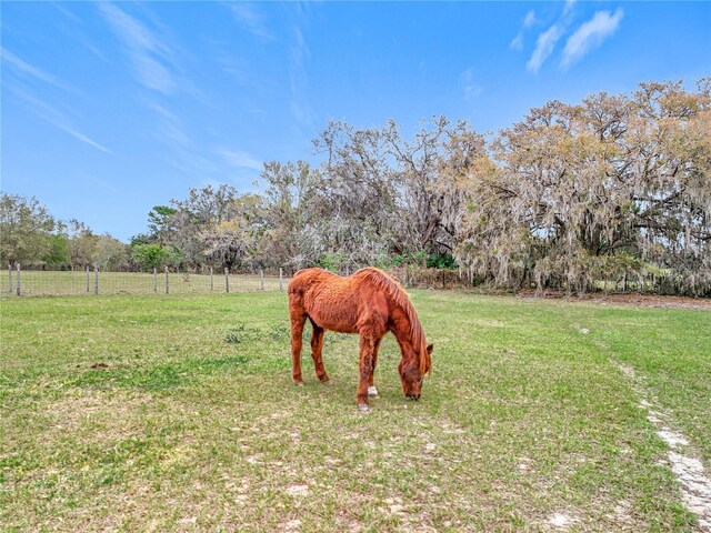 41204 Emeralda Island Rd, Leesburg, FL 34788 - photo 35