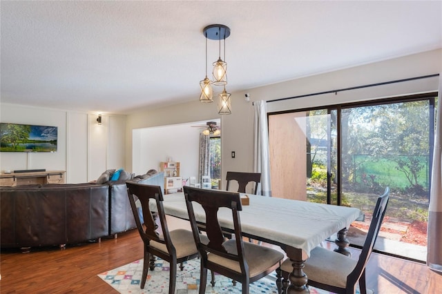 dining room with wood finished floors and a textured ceiling