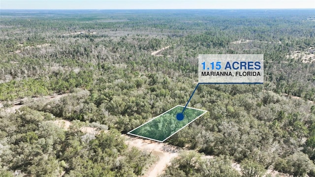 Aleo St, Marianna FL, 32448 land for sale