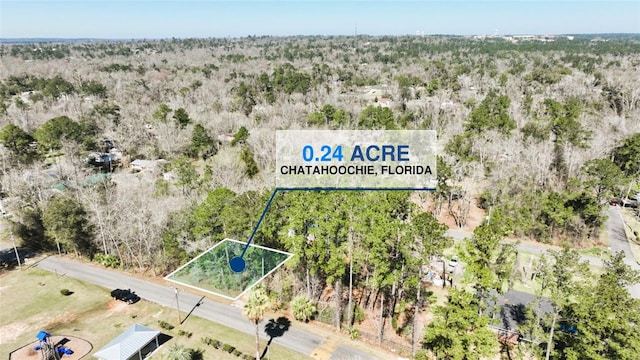 455 Line St, Chattahoochee FL, 32324 land for sale