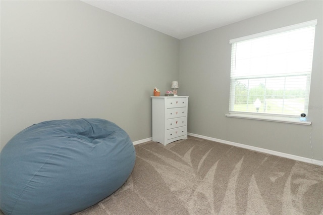 sitting room with baseboards and carpet floors