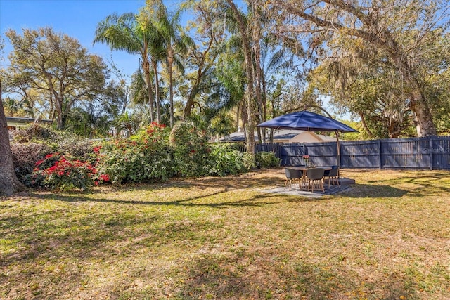 view of yard featuring a patio and fence