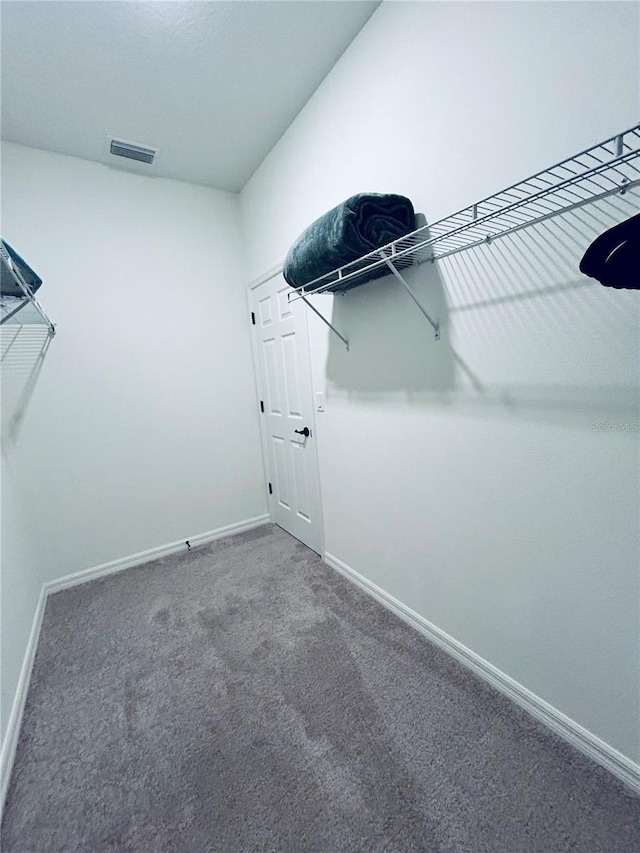 spacious closet featuring visible vents and carpet floors