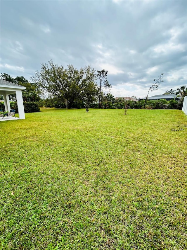 view of yard featuring a patio area