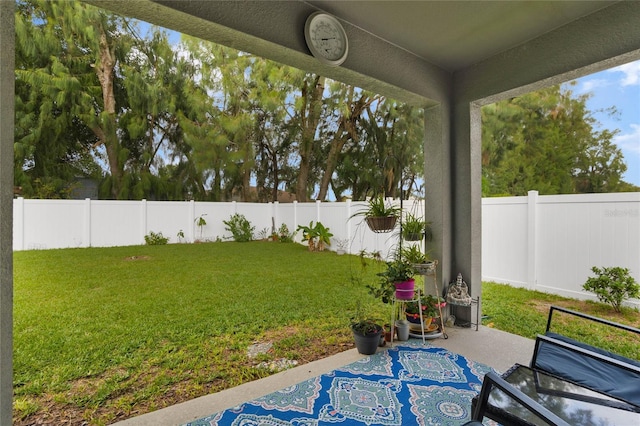 view of yard featuring a patio area and a fenced backyard