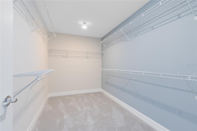 walk in closet with carpet