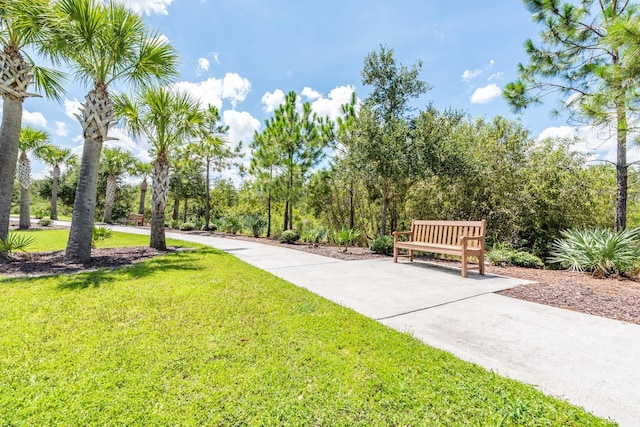 view of home's community with a lawn