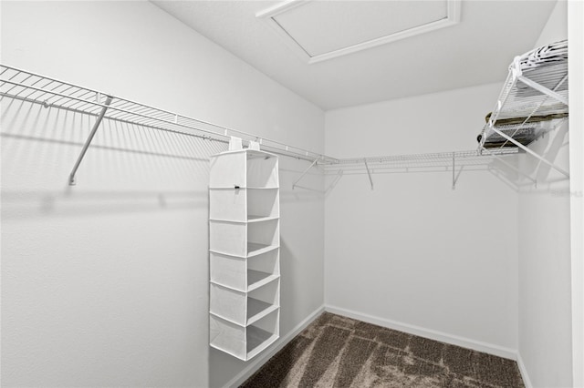 spacious closet featuring attic access and dark colored carpet