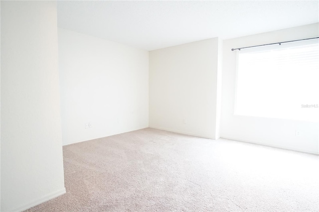 unfurnished room featuring carpet